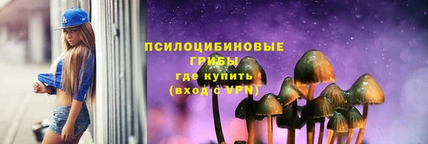 спайс Алексин