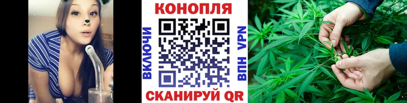 Бошки Шишки планчик  Апрелевка 